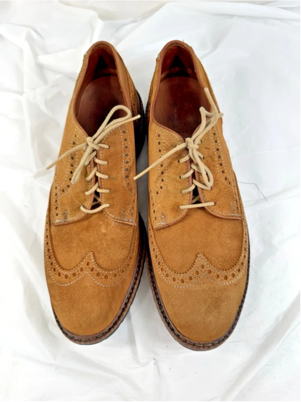 Allen Edmonds Big Sur Size 10.5 D Brogue suede wingtip